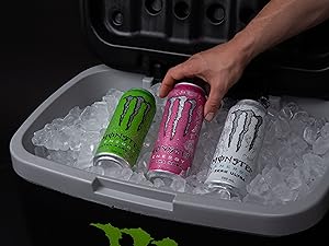 Brain Fuel Energy - Zero Sugar 15 Pack with Focus Complex® & B12